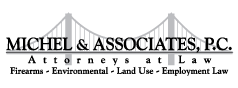 logo_michel