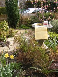 Winning Ways in Scotland