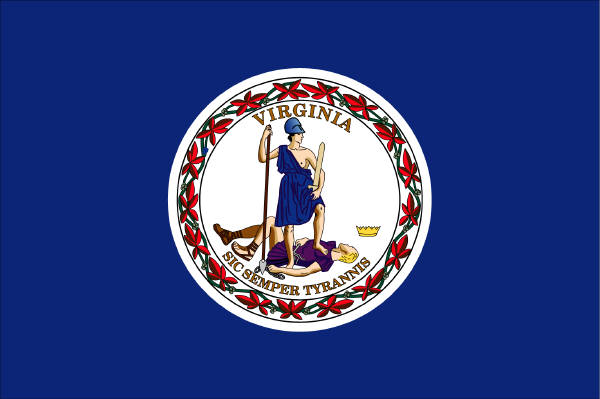 VA Flag