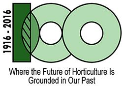 100th anniversary logo