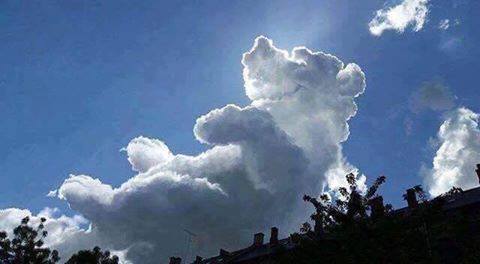 Pooh Cloud
