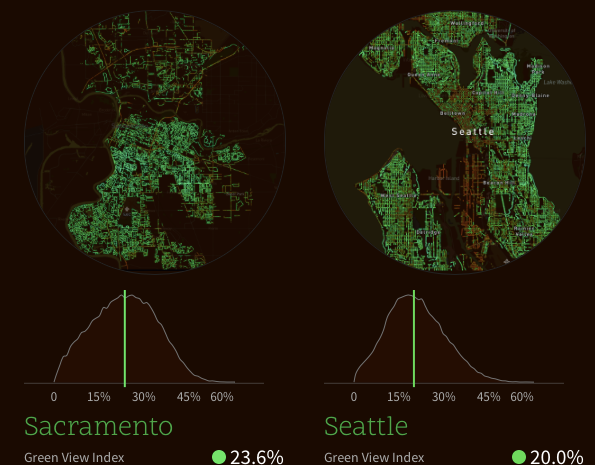 Explore tree textures on treepedia