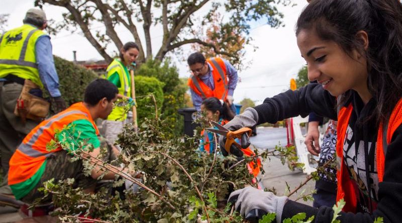 Be a tree planting leader!
