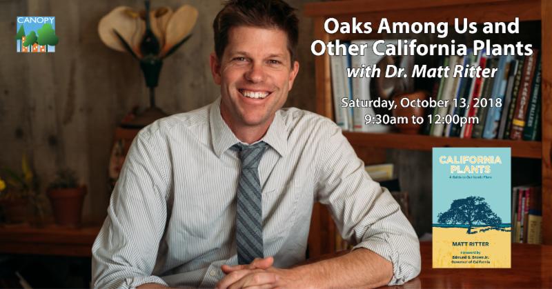 Oaks Among Us and Other California Plants