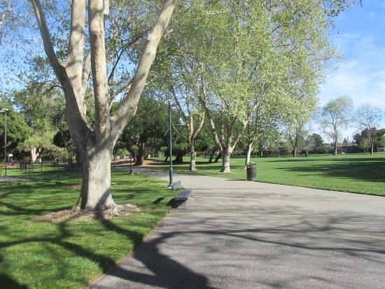 Mountain View Arbor Day Celebration