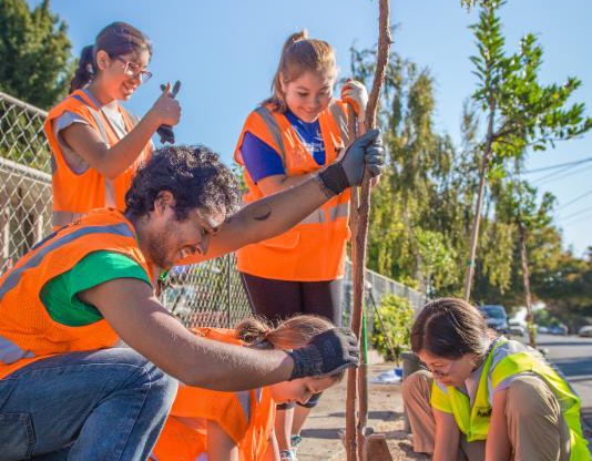 Uriel Hernandez plants trees in East Palo Alto