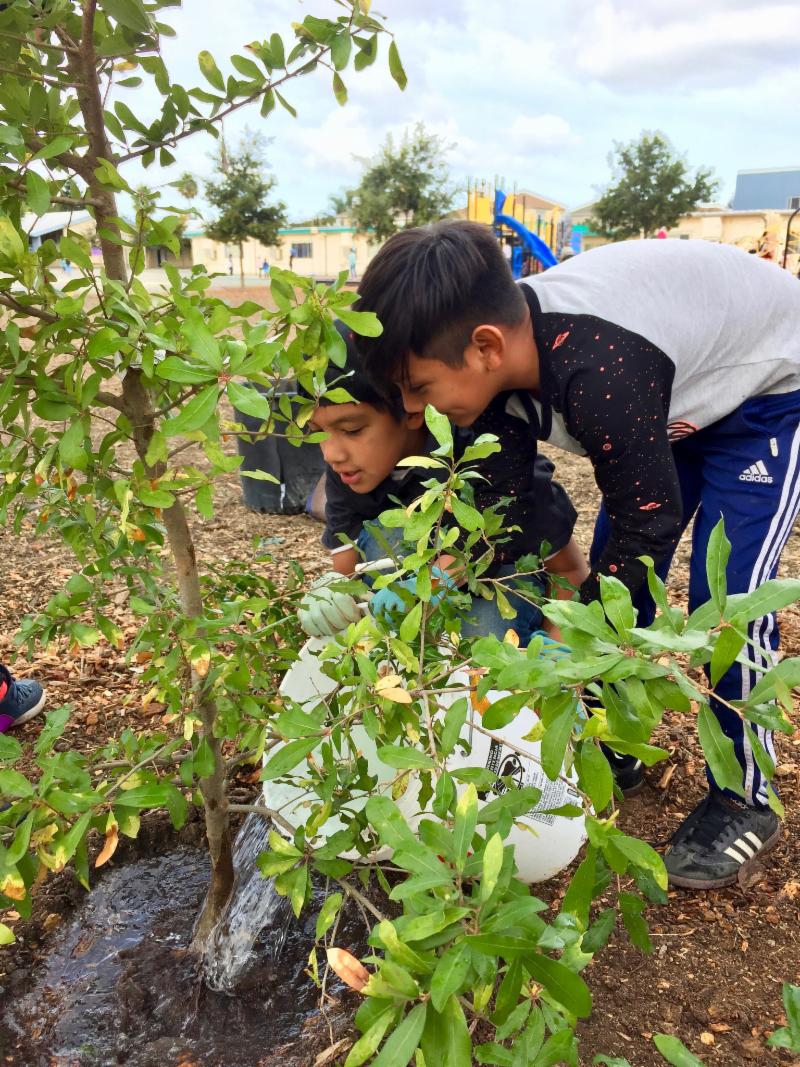 Kids watering a newly planted tree.