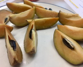 sapodilla slices