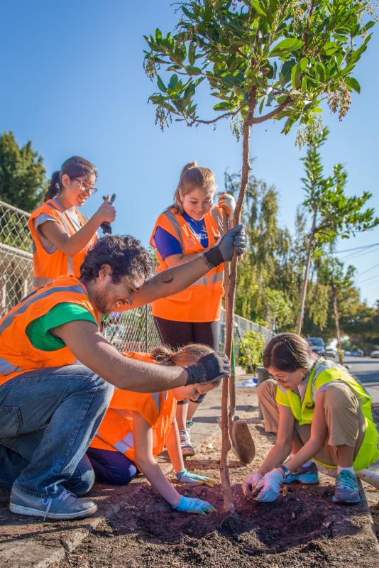 Planting trees greens our community