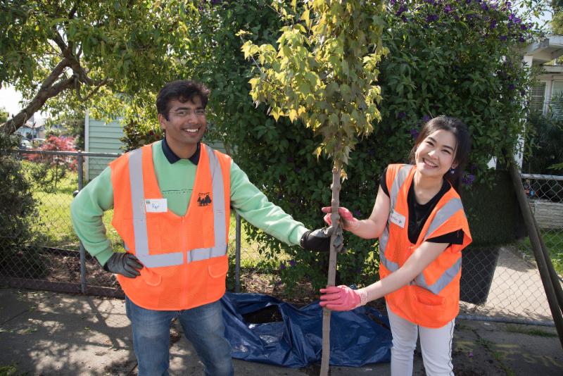 Neighborhood Planting Duo