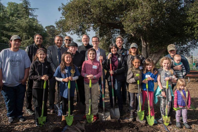 MLK Day of Service