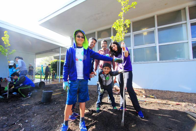 Plant trees at Cubberley