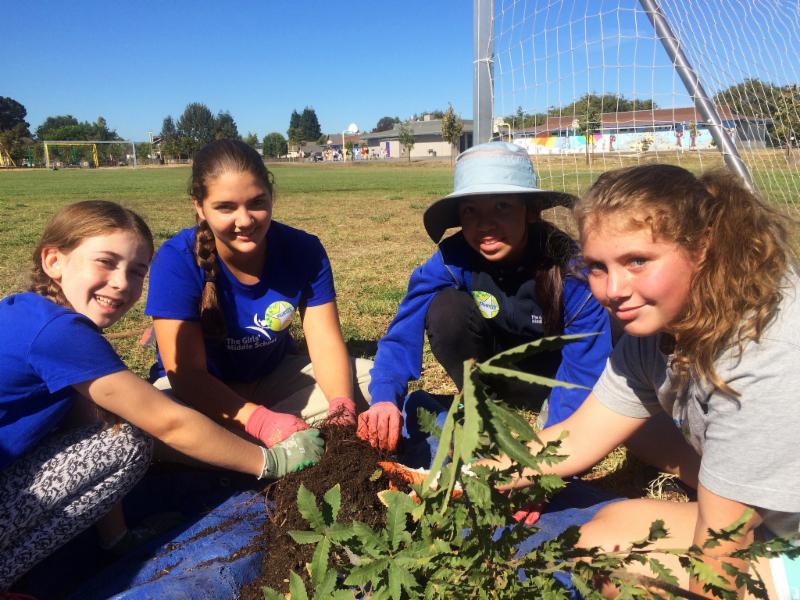 School Tree Planters