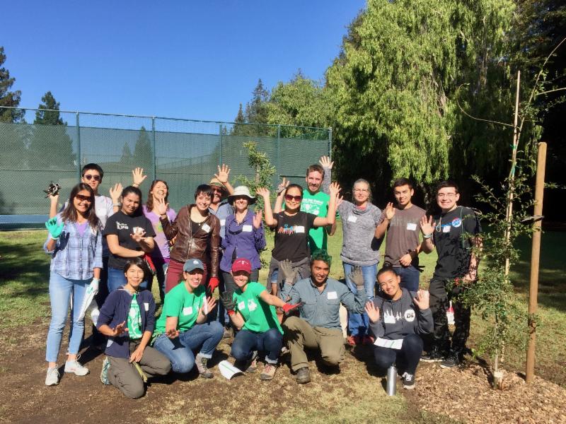 Canopy Planting Leaders