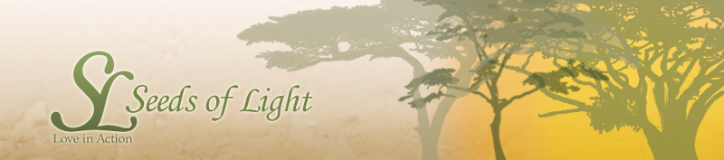 SOL Banner