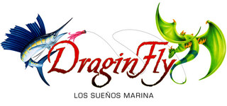 Dragin Fly Logo