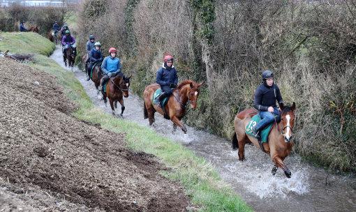 Faugheen leads the way