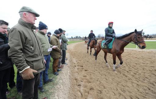 Willie Mullins watches Footpad