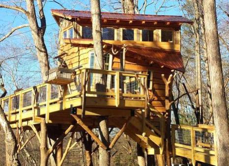 BLUE RIDGE TREEHOUSE _ BEARCLAW VINEYARDS