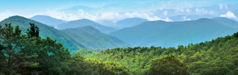 Fannin County Chamber of Commerce Newsletter