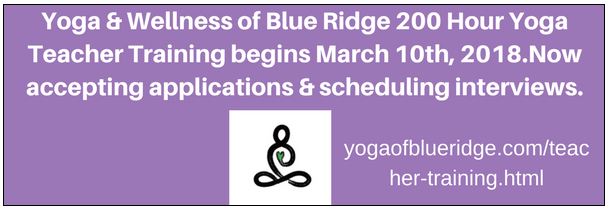 Yoga and Wellness Teacher Training