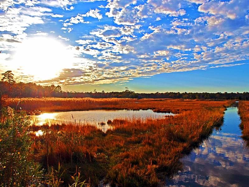 Cattus Island Blvd Toms River Nj Us Cattus Island Blvd Toms River Nj Us