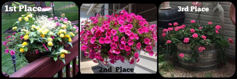 Hanging Basket Winners 2016
