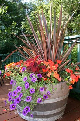 Planter 