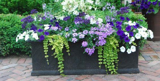 Beautiful Planter