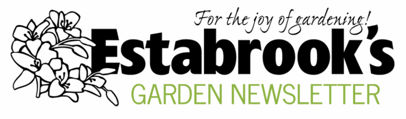 Estabrook_s Garden Newsletter