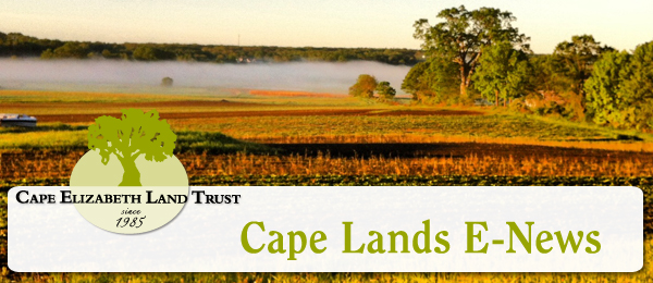 June '13 enews header