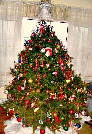Suzanne's Christmas tree, 2015