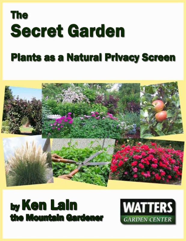 10 Flowers that Insects Hate!