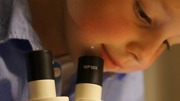 microscope