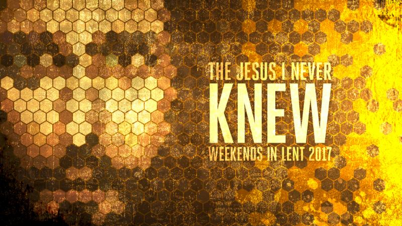 The Jesus I Never Knew