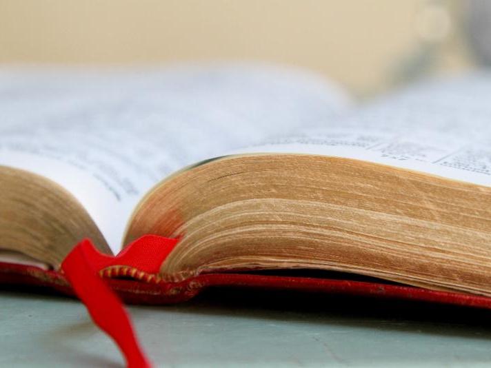 Bible Study