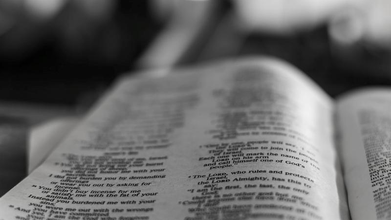 Bible Study