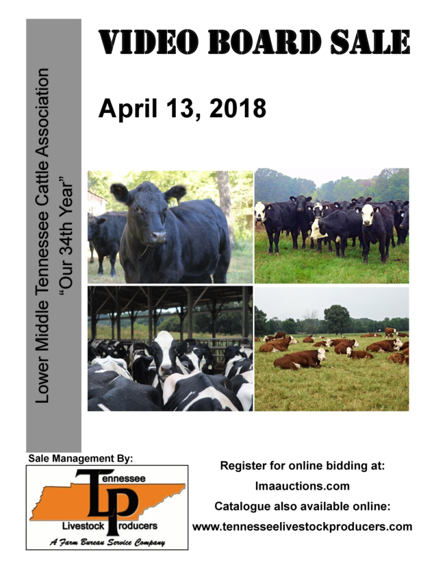 TN Livestock Producers, April 13, 2018 Video Sale Information