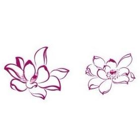 lotus blossoms