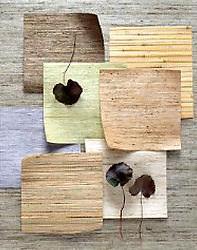 Phillip Jeffries Wallcoverings