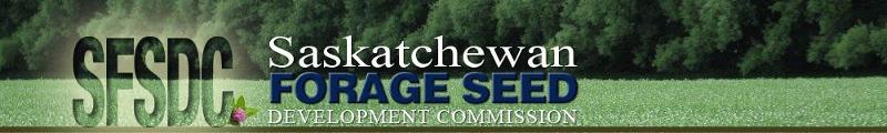 SFSDC Header Logo