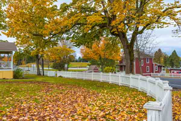 autumn-trees-fence2.jpg