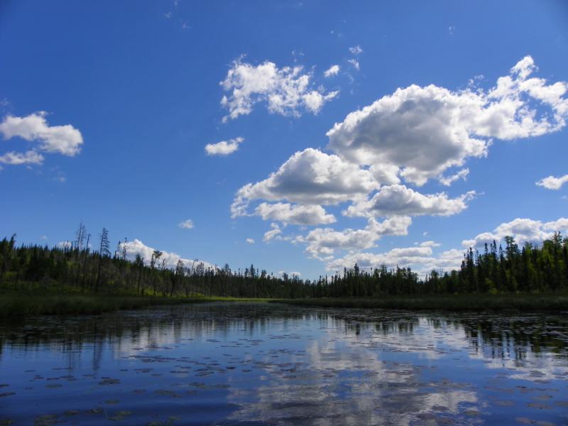 bwca image