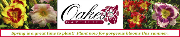 Oakes Daylilies - Spring is a Great Time to Plant