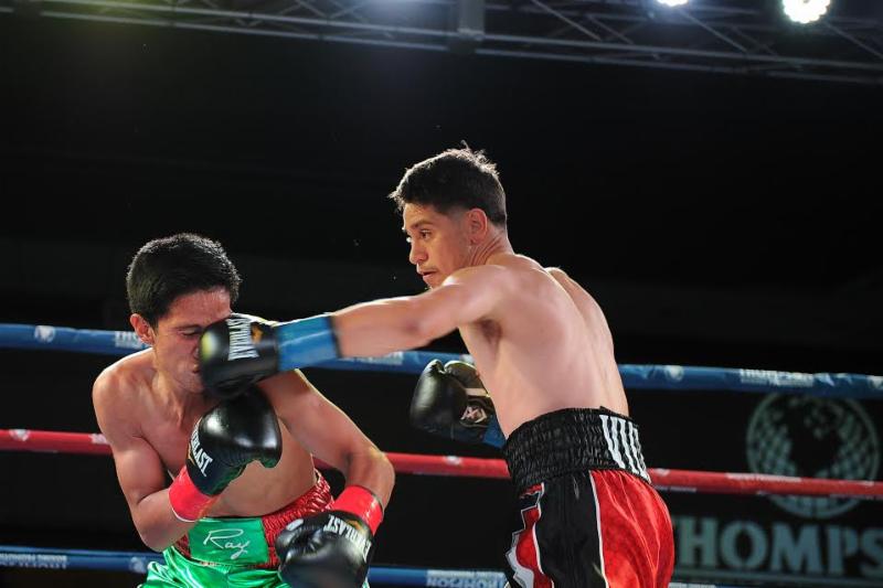 23786a35 89ad 4c7e b541 a129a0a52265