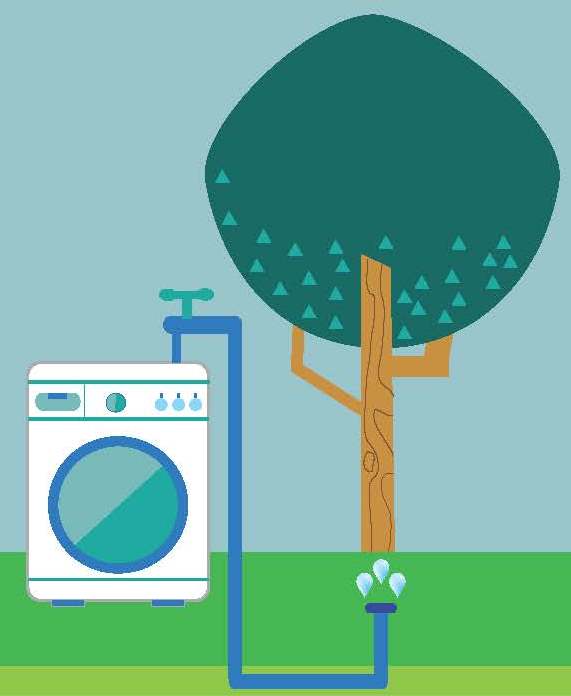laundry to landscape greywater