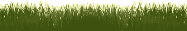 grass