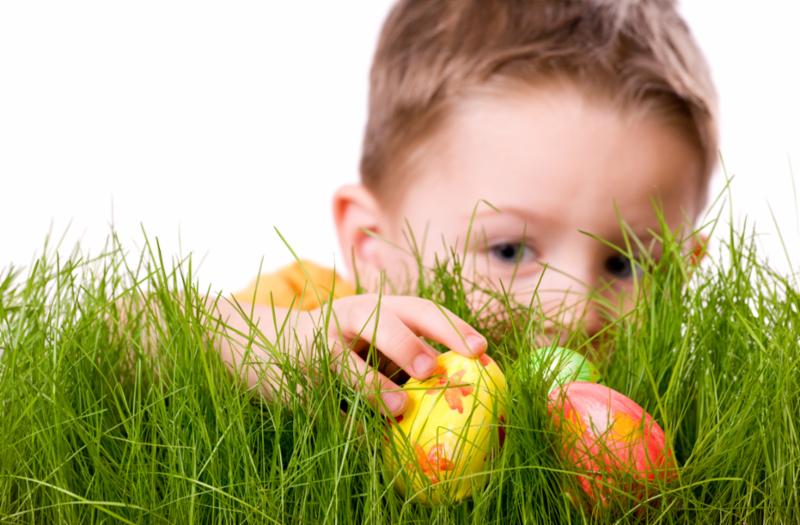 easter_egg_hunt.jpg