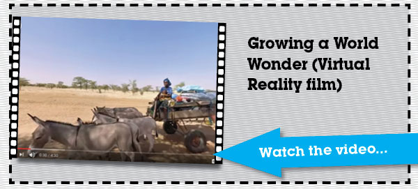 Growing a World Wonder