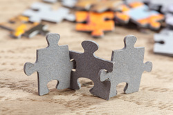 Puzzle Pieces